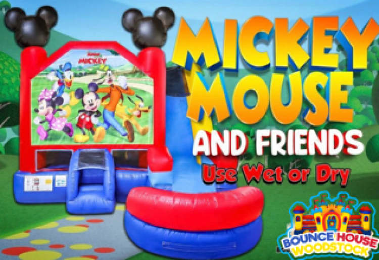 Mickey Mouse & Friends XL Bounce & Slide