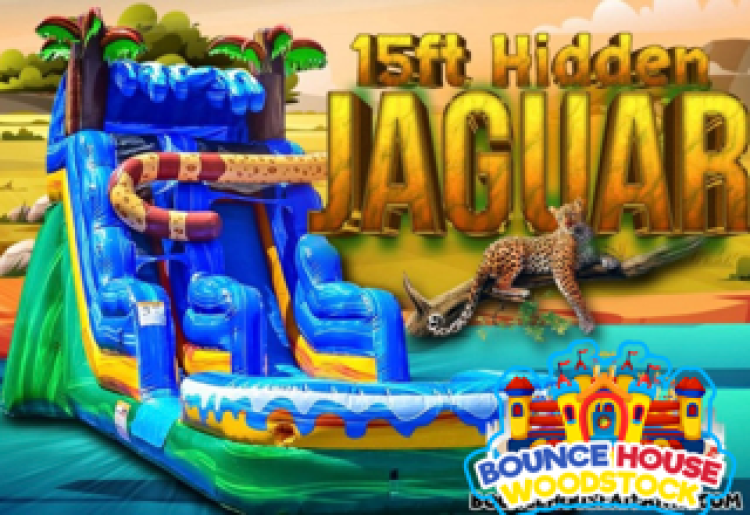 15' Hidden Jaguar Water Slide