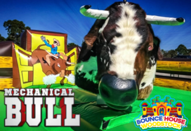 Mechanical Bull