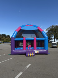 IMG 0181 1763929561 Cotton Candy XL Dome