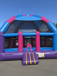 IMG 0182 1763929561 Cotton Candy XL Dome