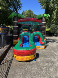 IMG 1172 1763935027 Tropical Fire Combo