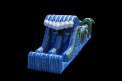 Blue Nile Obstacle Course with Dual Slide IMG 3155 1733187310 Blue Nile Obstacle Course with Dual Slide