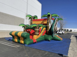 Dinosaur Bounce and Slide IMG 3176 1733188423 Dinosaur Bounce and Slide