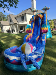 IMG 6819 1763927210 19' Pool Party Water Slide