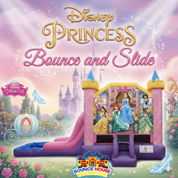Disney Princess Deluxe Bounce and Slide
