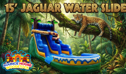 15' Hidden Jaguar Dry Slide