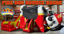Fire Dog Marshall Bounce and Slide
