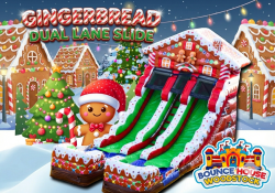 16' Dual Lane Gingerbread Slide