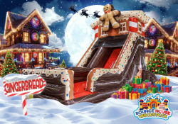 19' Gingerbread House Dry Slide