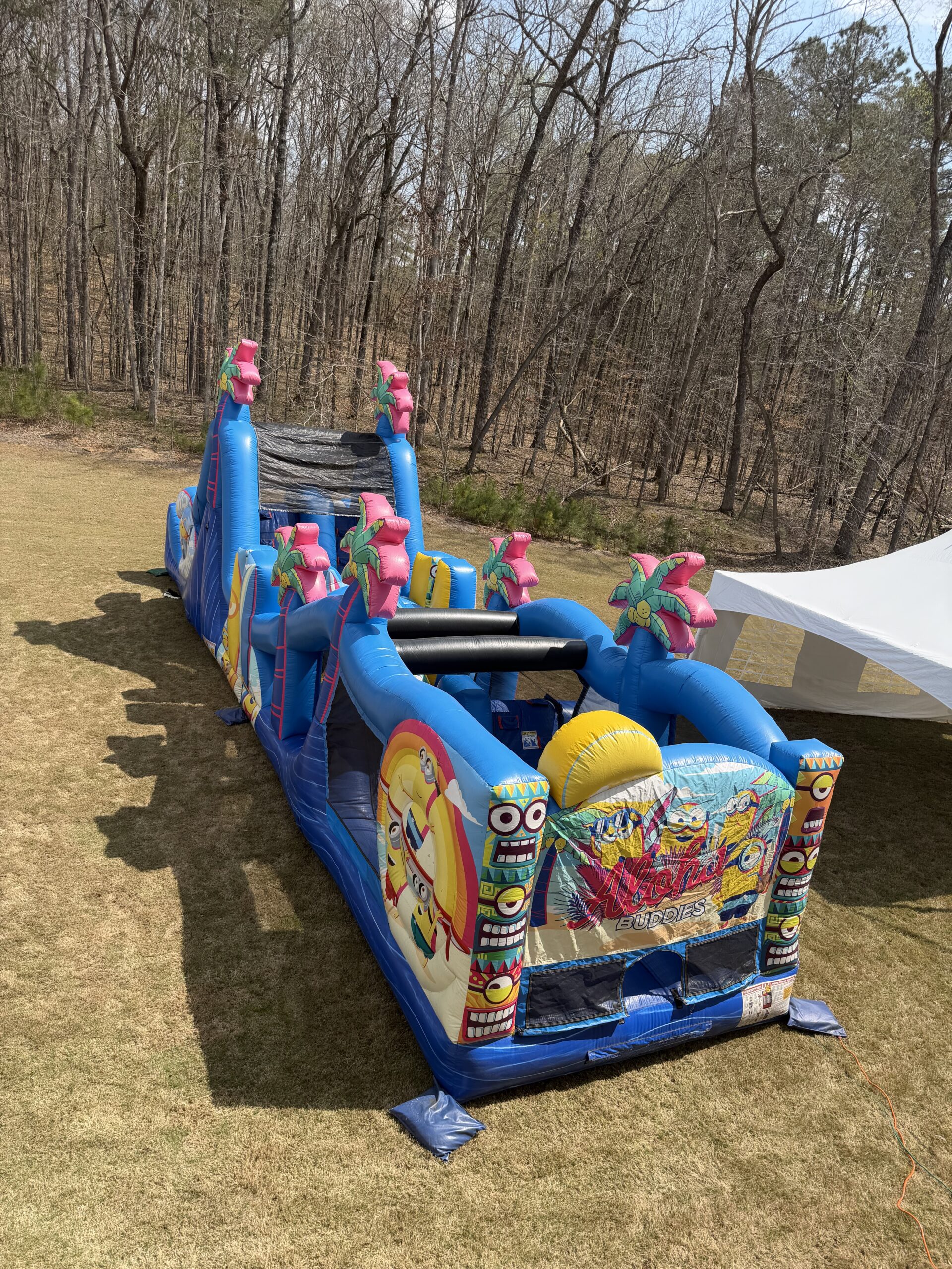 50ft Minions obstacle course rental Cartersville GA field day