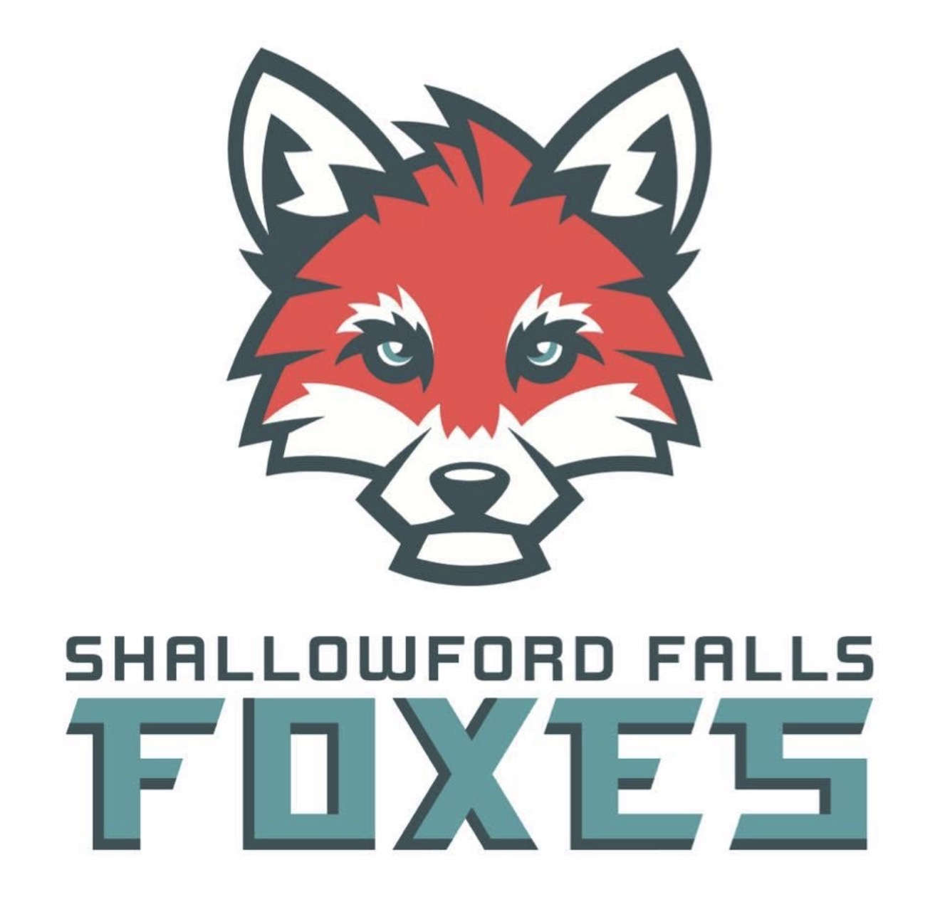 Shallowford Falls Elementary School logo