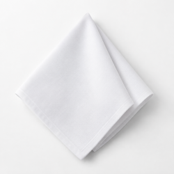 Cloth Napkin 20x20